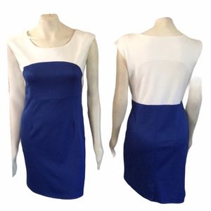 Elegant Blue and White Dress